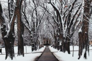 CSU oval in winter with walkway down the middle.